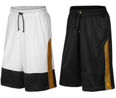 jordan retro 12 shorts