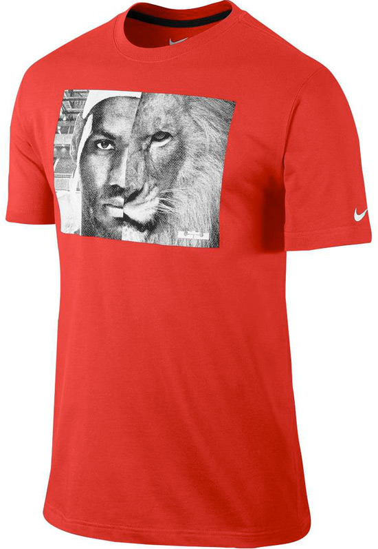 nike lebron shirt