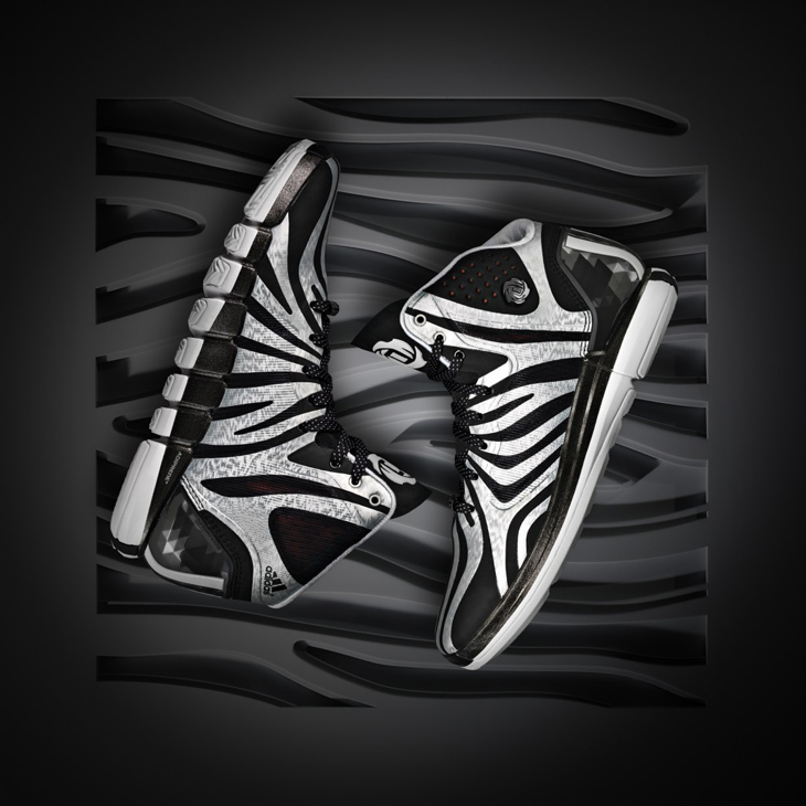 adidas d rose zebra