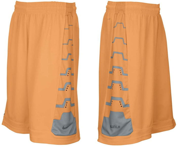 nike lebron driven shorts
