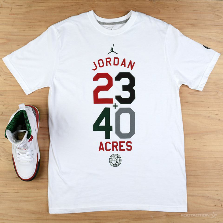 jordan spizike t shirt