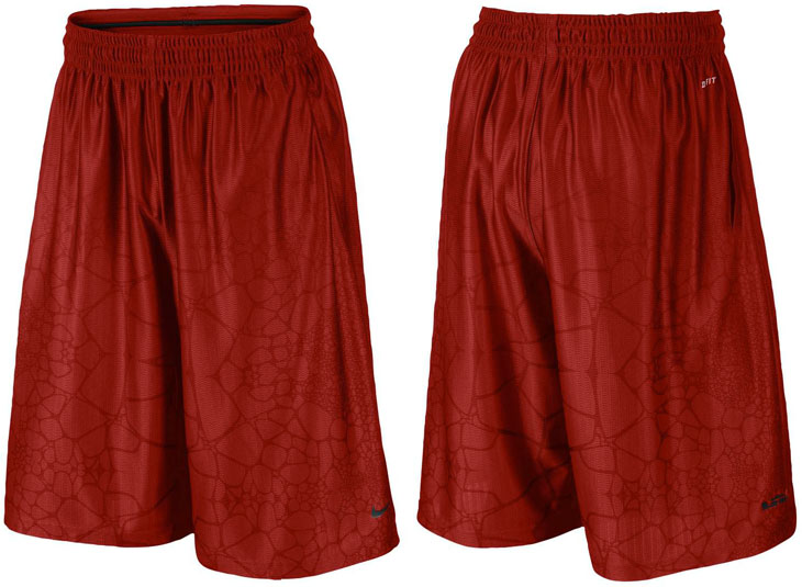 nike-lebron-tamed-heart-of-a-lion-shorts