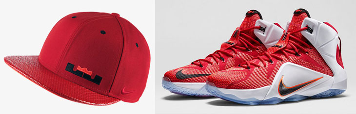 nike-lebron-12-heart-of-a-lion-hat