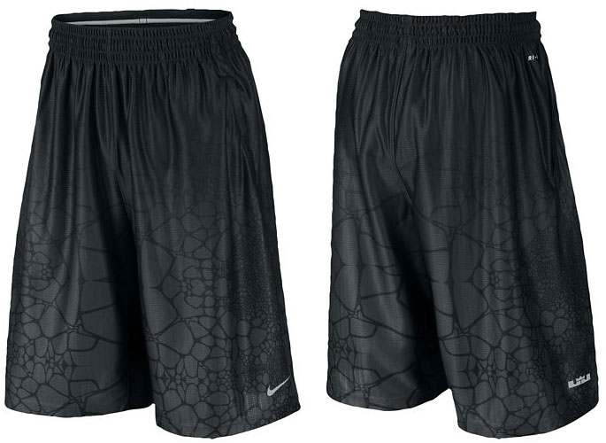 nike-lebron-dunk-force-tamed-aop-short
