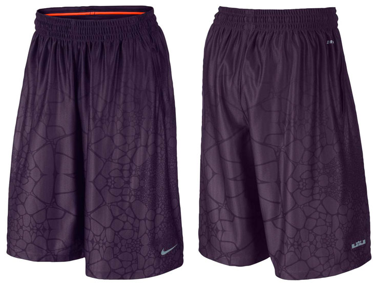 Nike LEBRON 12 Instinct Shorts | SportFits.com