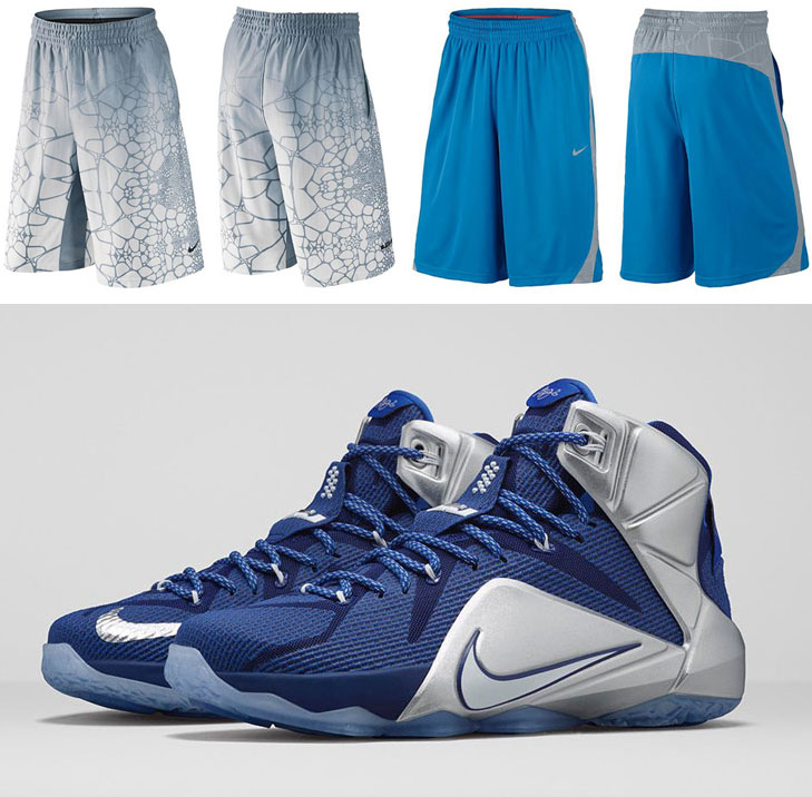 shorts lebron james