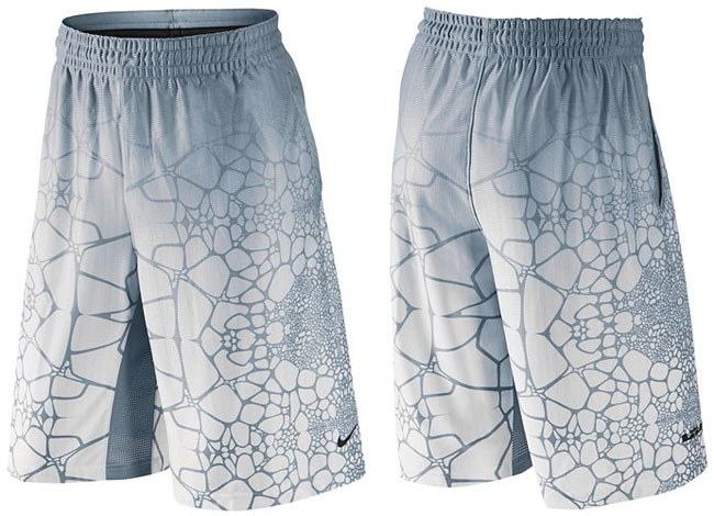 lebron atmos shorts