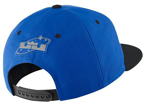 nike-lebron-12-flight-hat-back