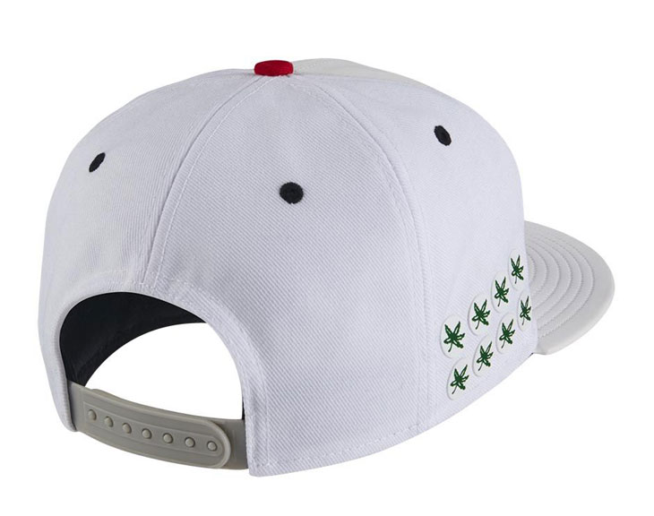 nike-ohio-state-hat-box-image-7