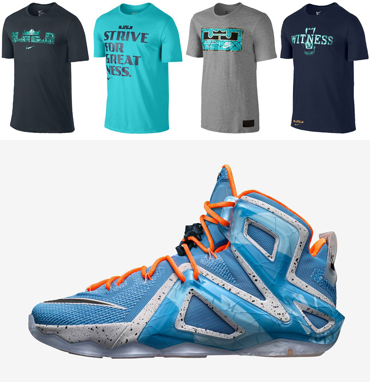 lebron 12 t shirt