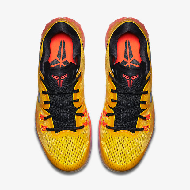 kobe venomenon 5 for sale