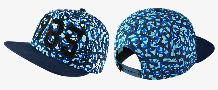 jordan-ele-camo-hat