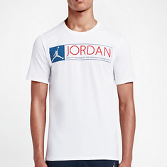 jordan 12 shirts