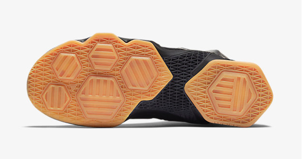 nike-lebron-13-black-lion-5