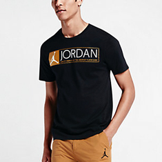 air jordan 12 shirt