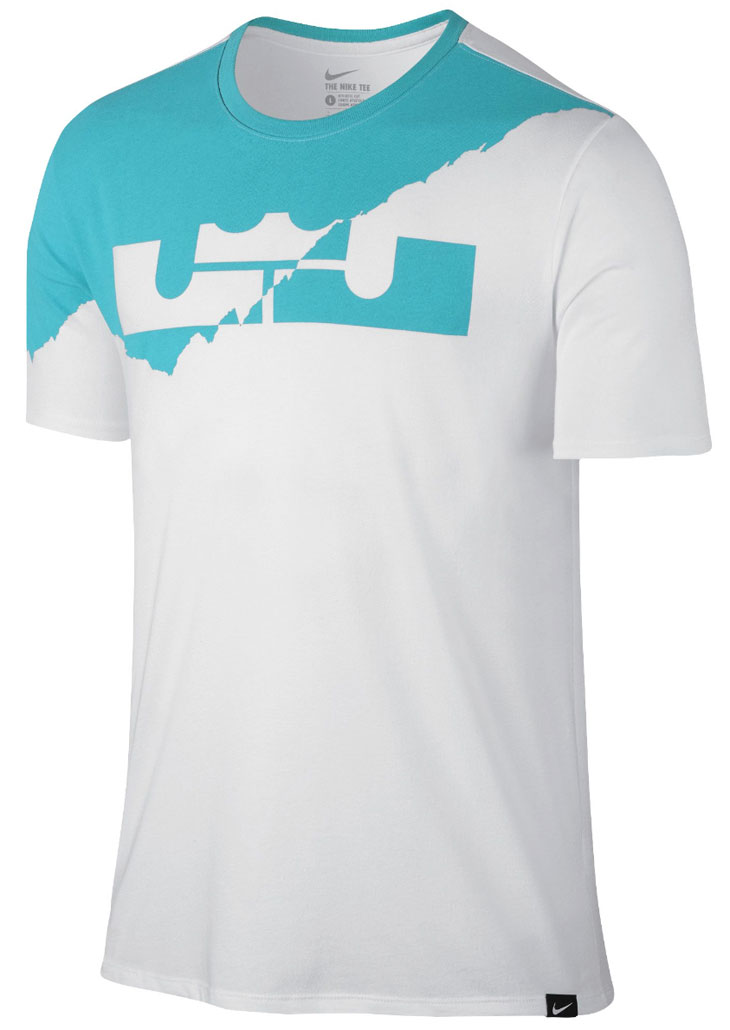 lebron blue shirt