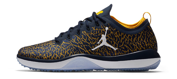 jordan-trainer-low-michigan-2