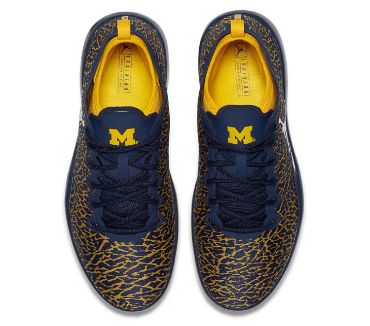 jordan-trainer-low-michigan-3