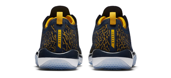 jordan-trainer-low-michigan-4