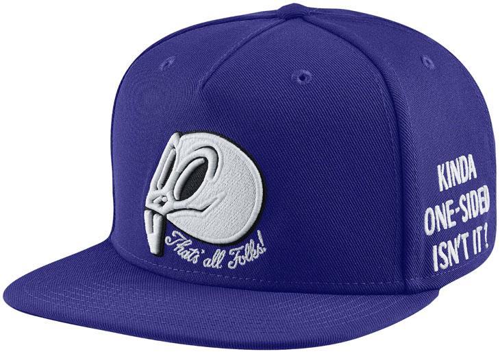 air-jordan-11-space-jam-hat-1