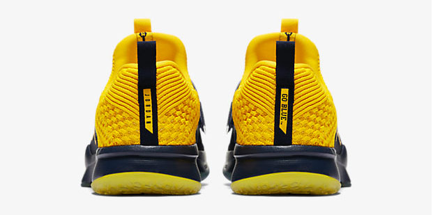 jordan-trainer-2-flyknit-michigan-wolverines-4