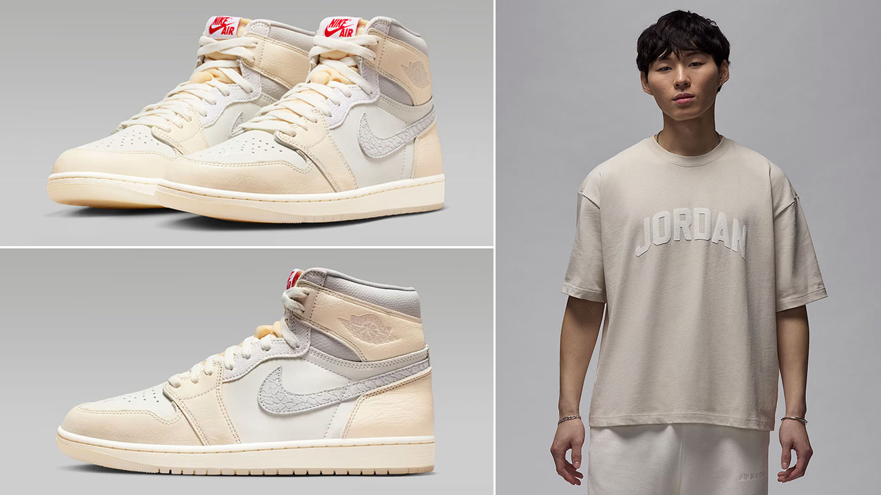 Air Jordan 1 High OG Sail x Jordan Flight Essentials T Shirt