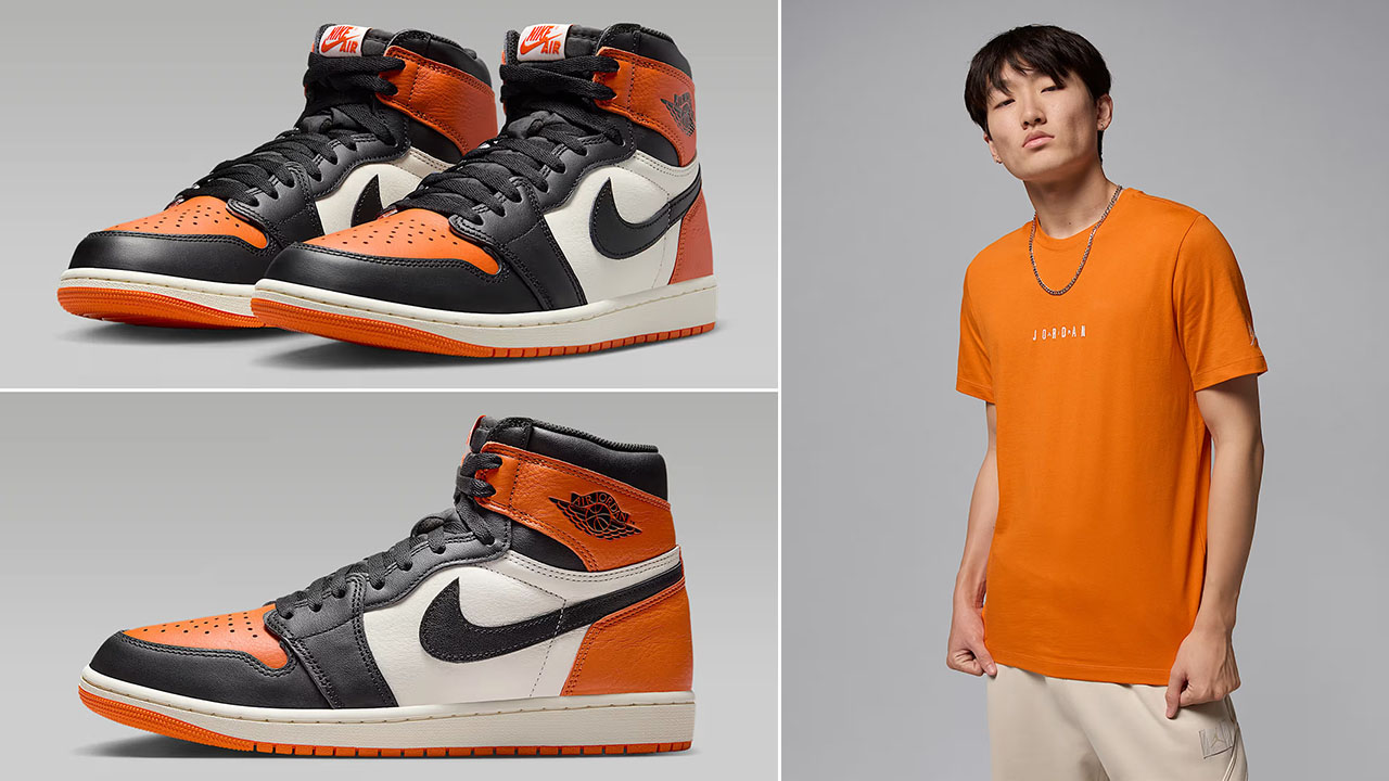 Air Jordan 1 High OG Shattered Backboard 2025 Shoes x Jordan Air T Shirt