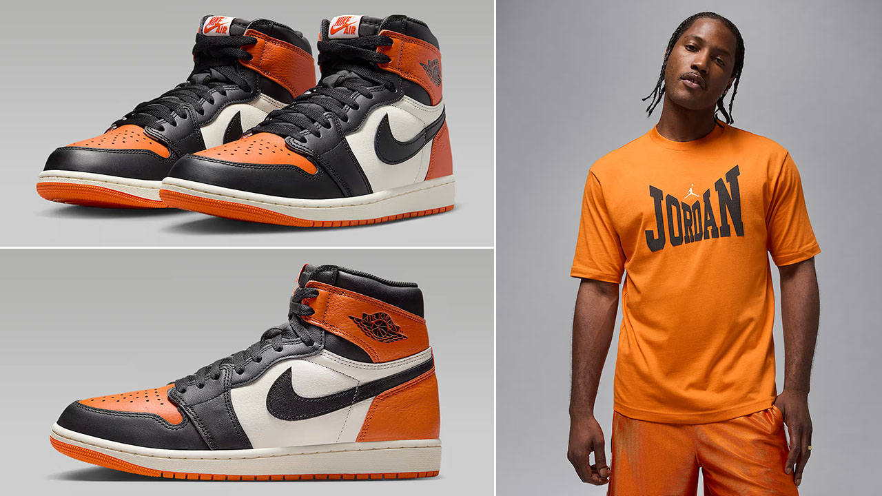 Air Jordan 1 High OG Shattered Backboard 2025 Shoes x Jordan Brooklyn T Shirt