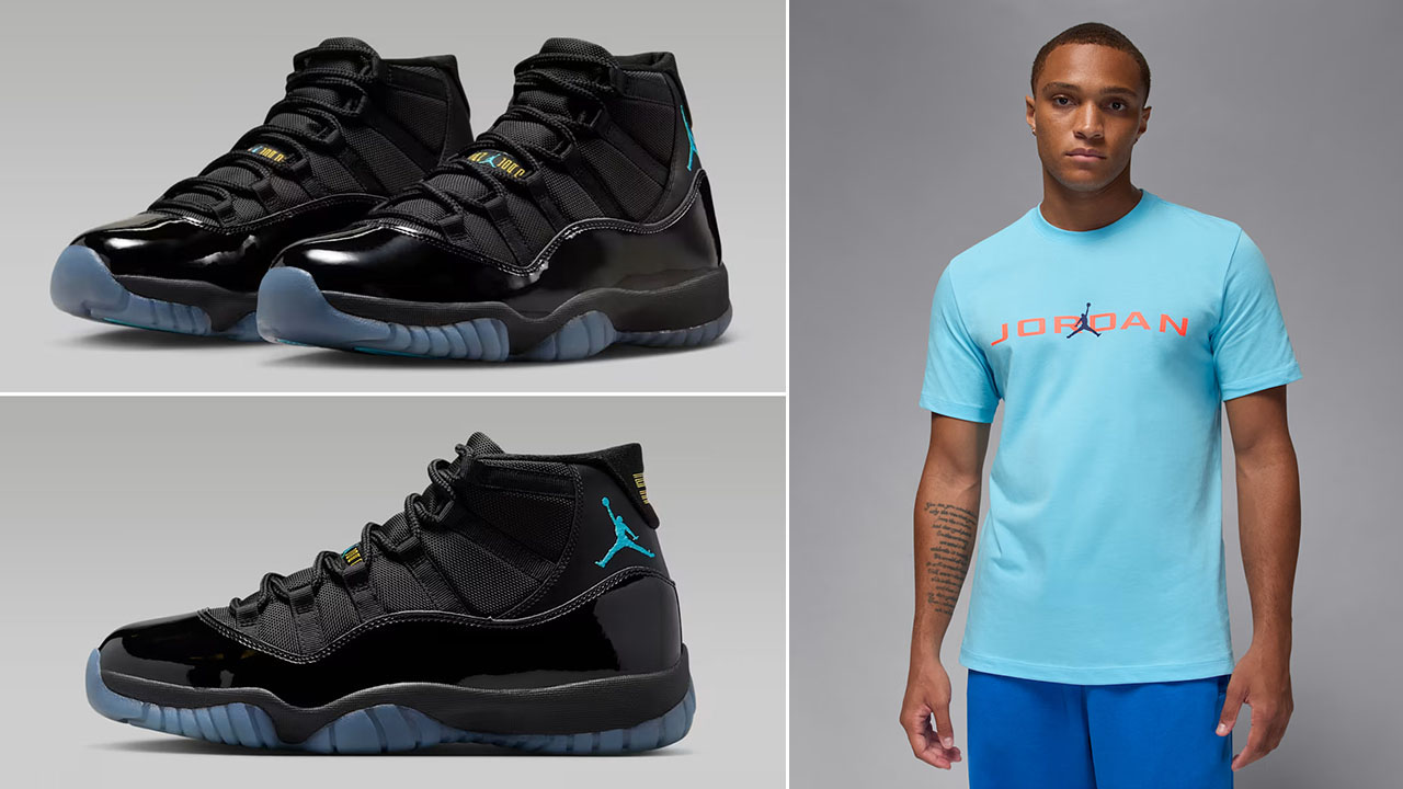 Air Jordan 11 Gamma Blue x Jordan Air T Shirt