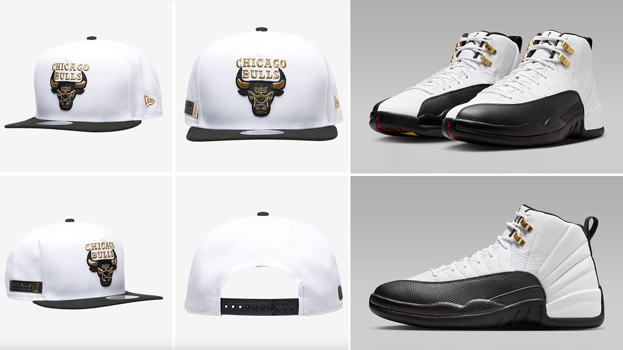 bulls jordan 12