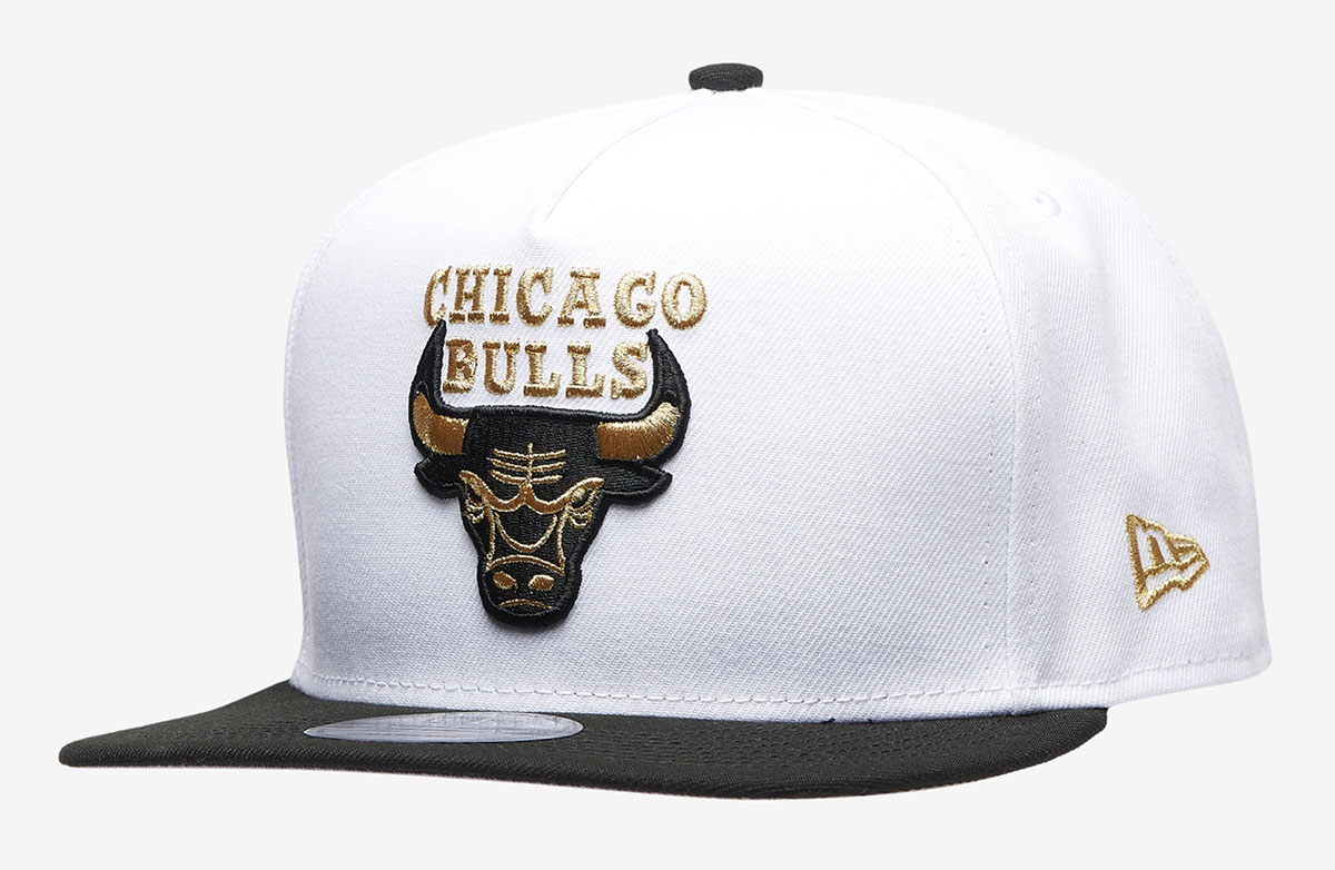 chicago bull jordan 12s