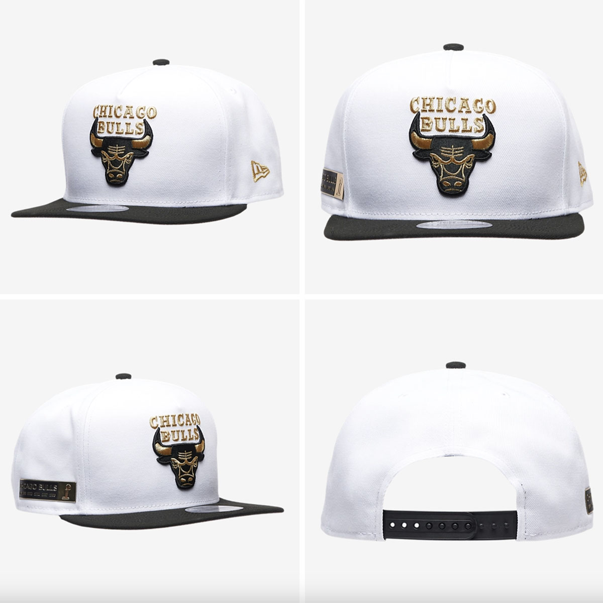 chicago bull jordan 12s