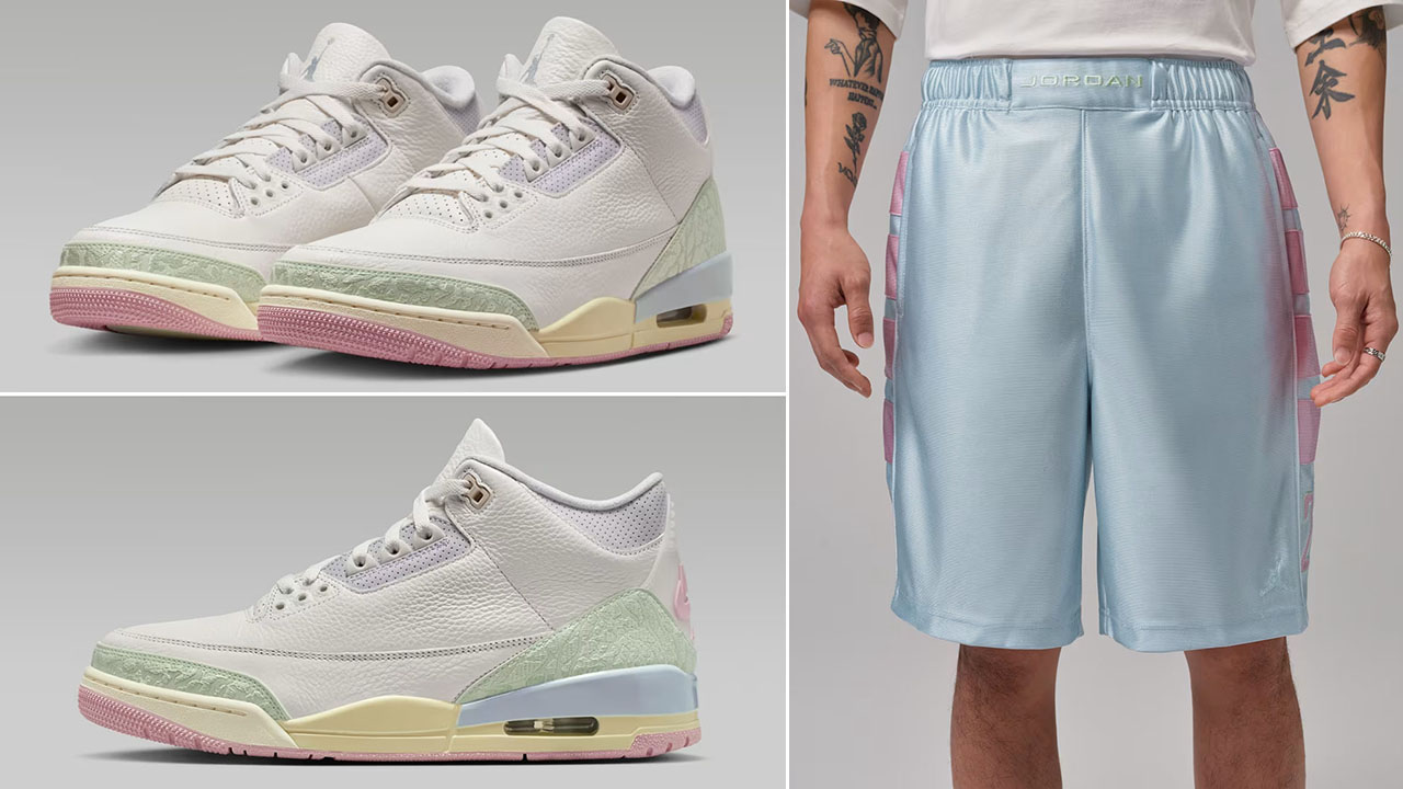 Air Jordan 3 Spring is in the Air x Jordan Brooklyn Cat Scratch Men's Shorts