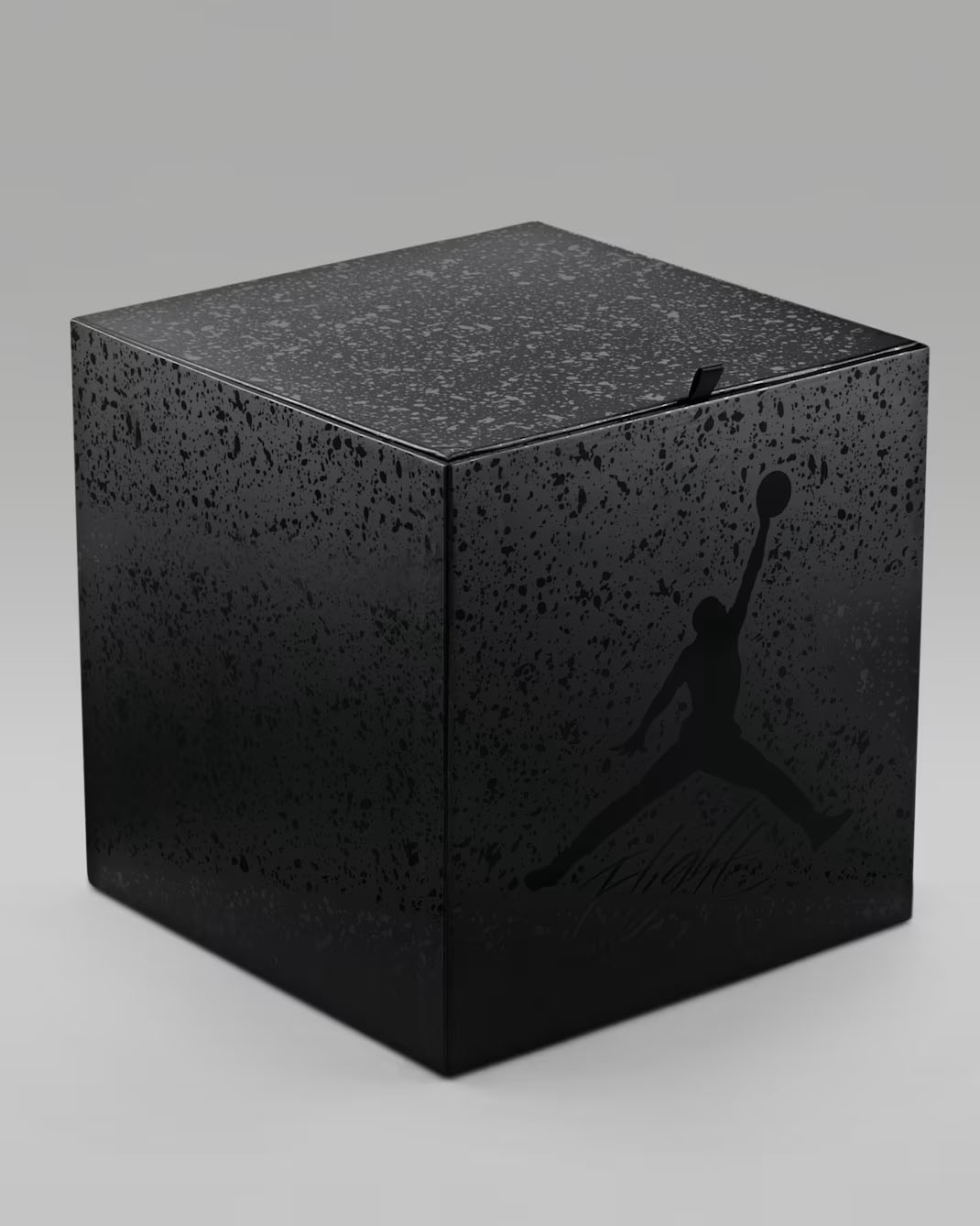 Air Jordan 4 Black Cat 2025 Basketball 5