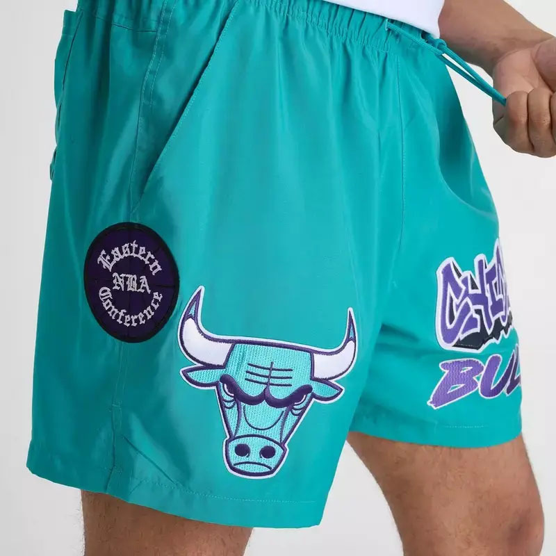 Air Jordan 5 Grape 2025 Chicago Bulls Aqua Shorts Pro Standard 2
