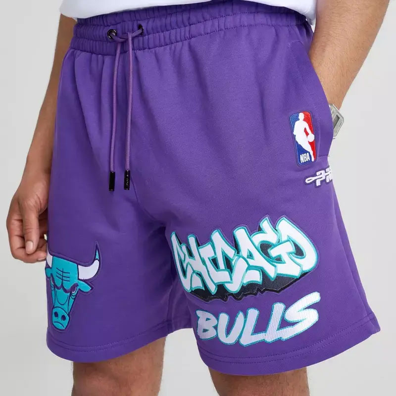 Air Jordan 5 Grape 2025 Chicago Bulls Purple Shorts Pro Standard 1
