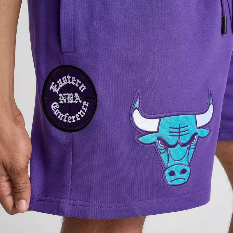 Air Jordan 5 Grape 2025 Chicago Bulls Purple Shorts Pro Standard 2
