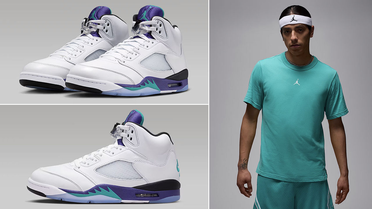 Air Jordan 5 Grape 2025 x Jordan Sport Dri Fit T Shirt