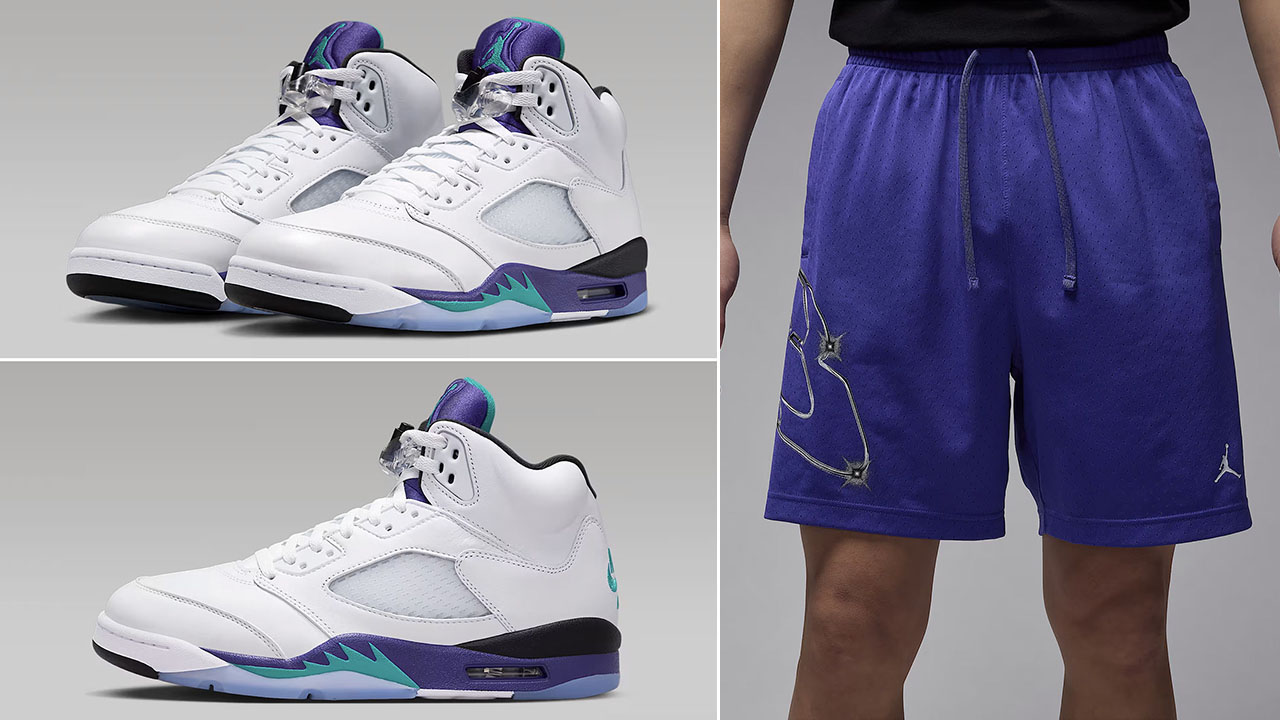 Air-Jordan-5-Grape-2025-x-Jordan-Sport-Graphic-Shorts