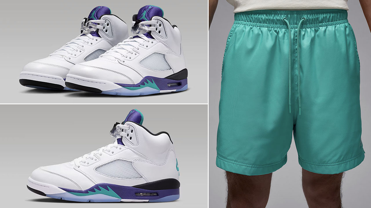Air Jordan 5 Grape 2025 x Jordan Teal Poolside Shorts