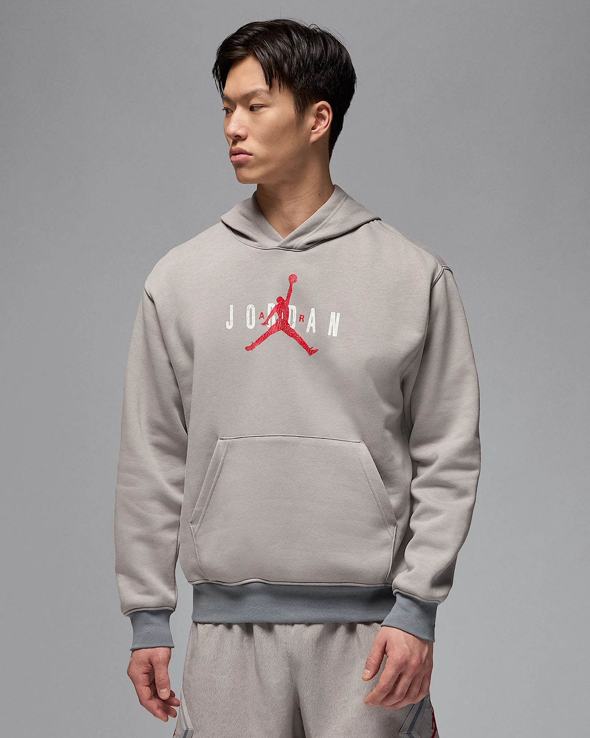 jordan cool grey hoodie
