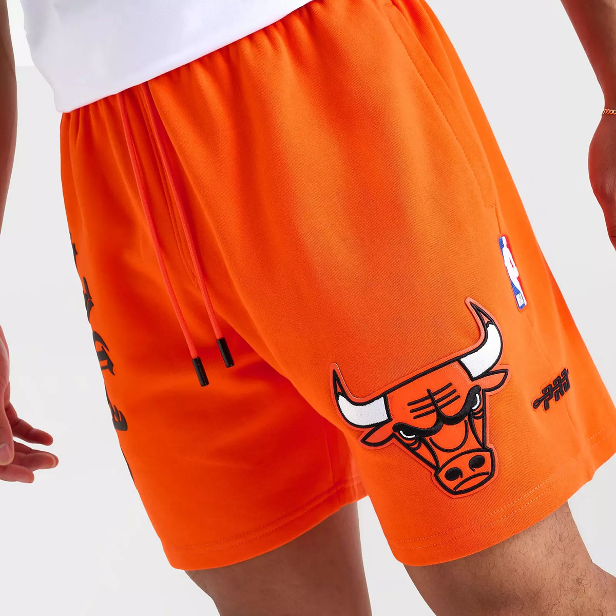 Pro Standard Chicago Bulls Shattered Backboard Fleece Shorts 1