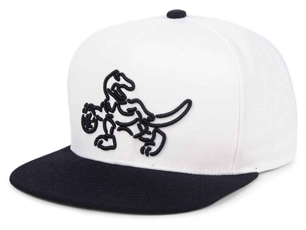 air-jordan-11-concord-nba-hat-raptors