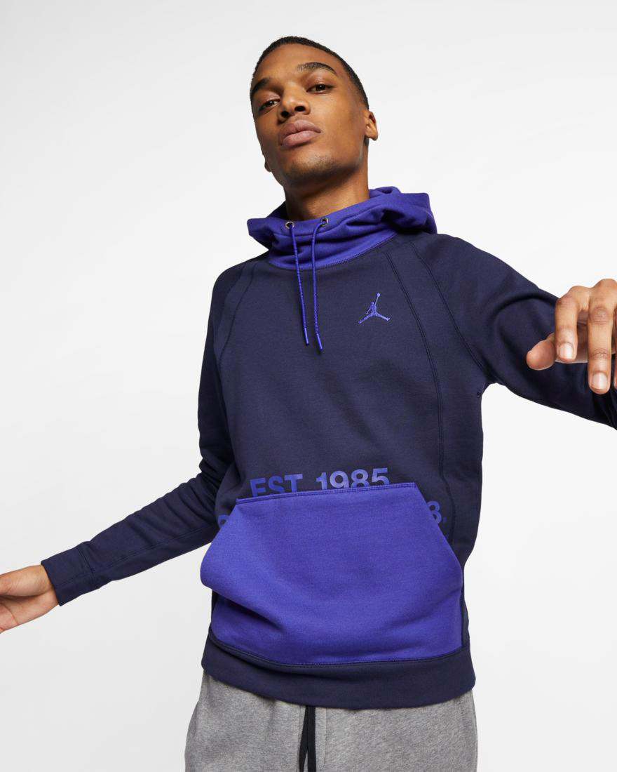 air jordan 11 concord hoodie