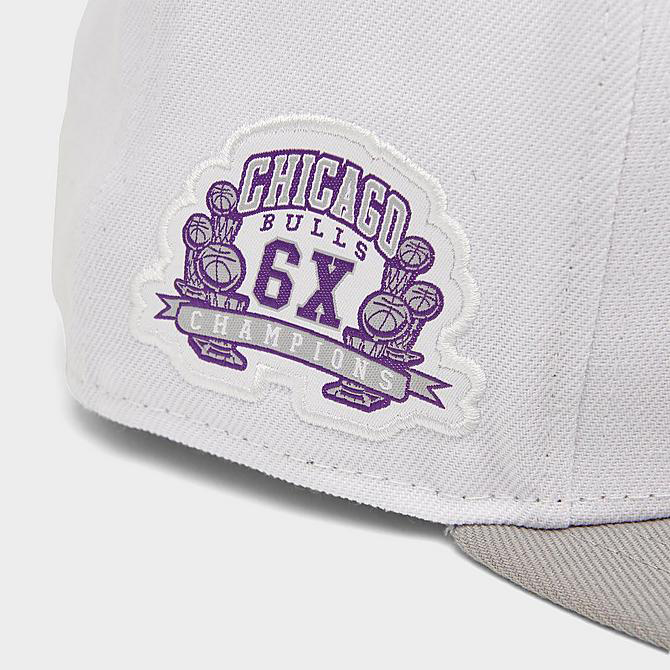 air-jordan-3-dark-iris-bulls-hat-5