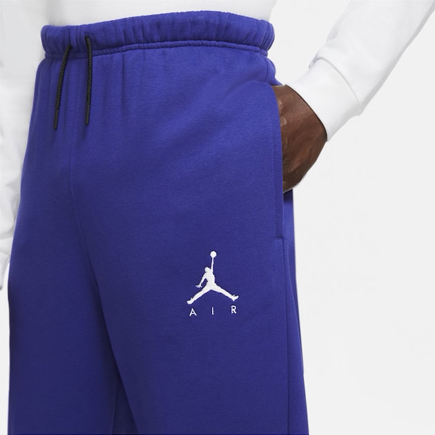 jordan-12-dark-concord-pants-2