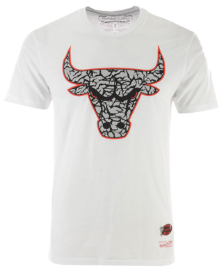 jordan-3-white-cement-bulls-shirt-1