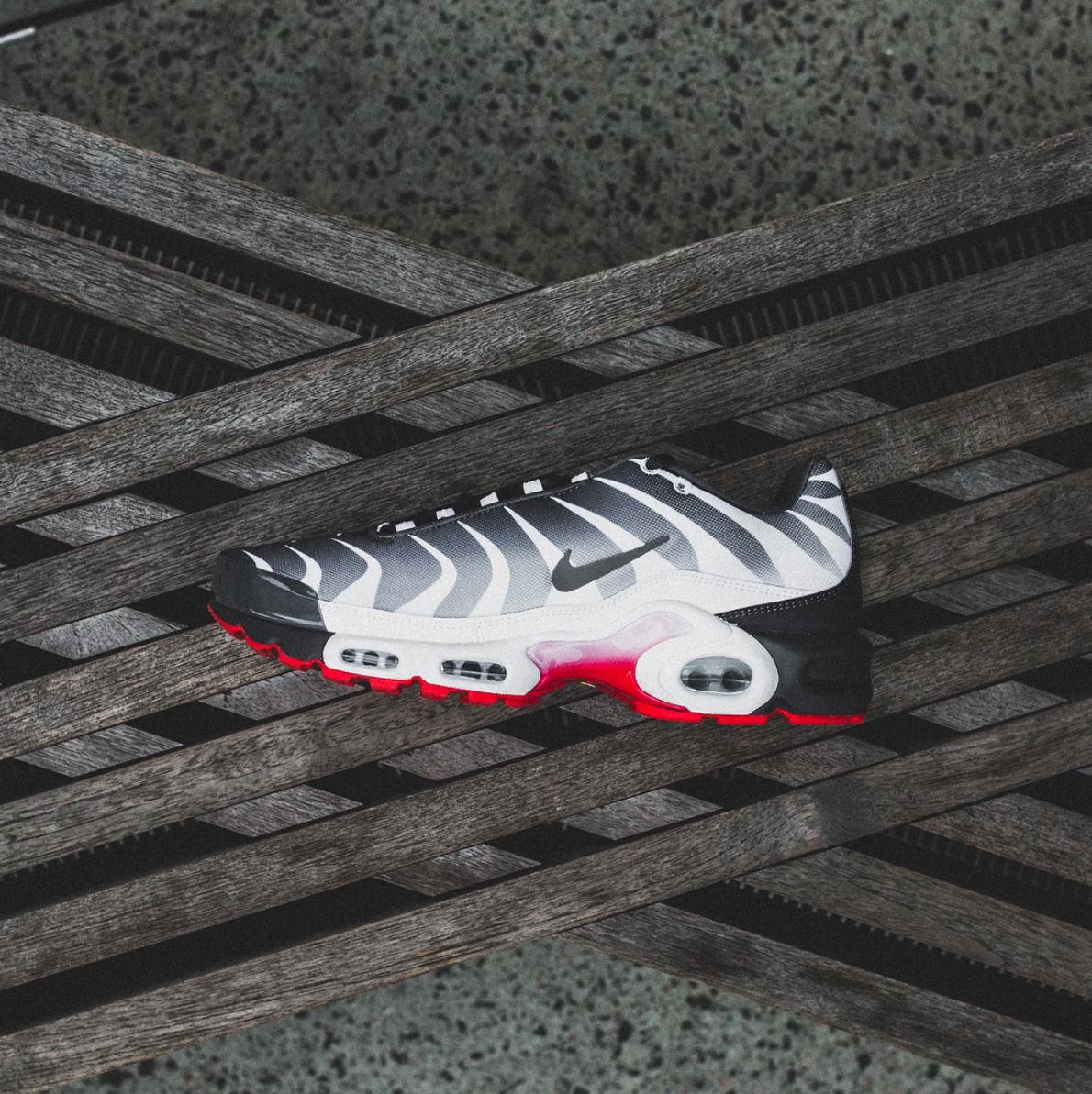 air max plus before the bite