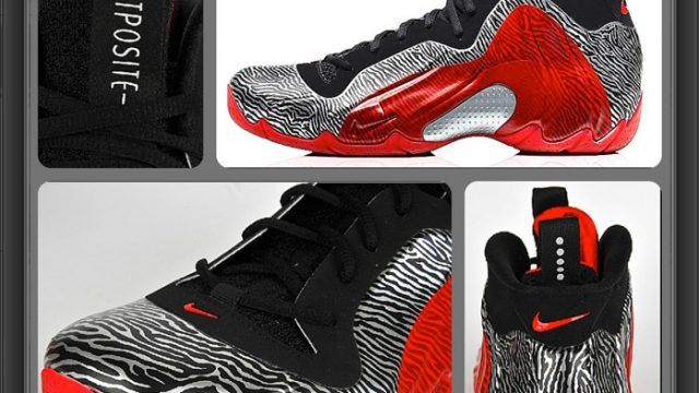 flightposite exposed zebra