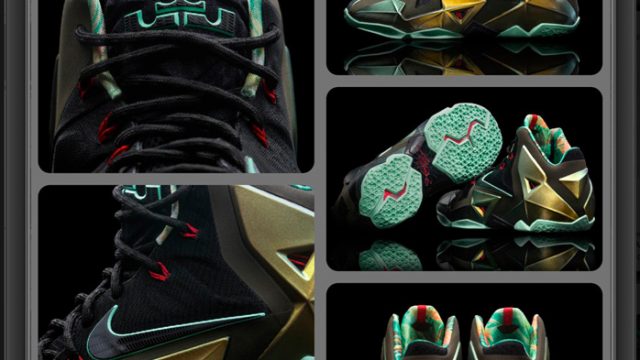nike-lebron-11-kings-pride